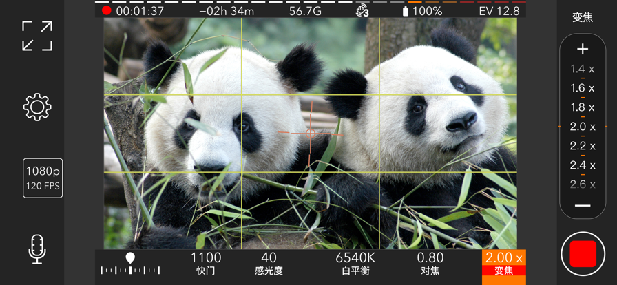 ProMovie专业摄像机最新版官方app下载