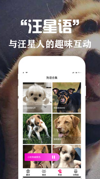 狗语翻译交流器app下载
