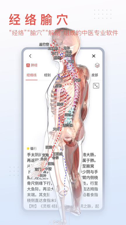 3dbody解剖图官方版下载