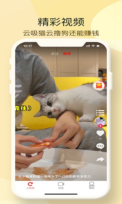小萌猫app下载
