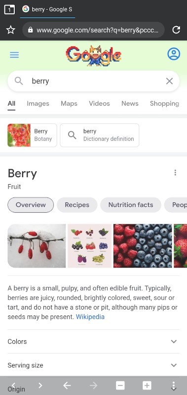 berry浏览器安卓版下载