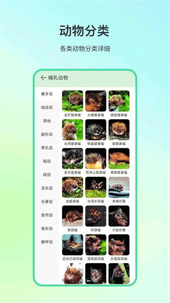 动物百科软件下载安卓版
